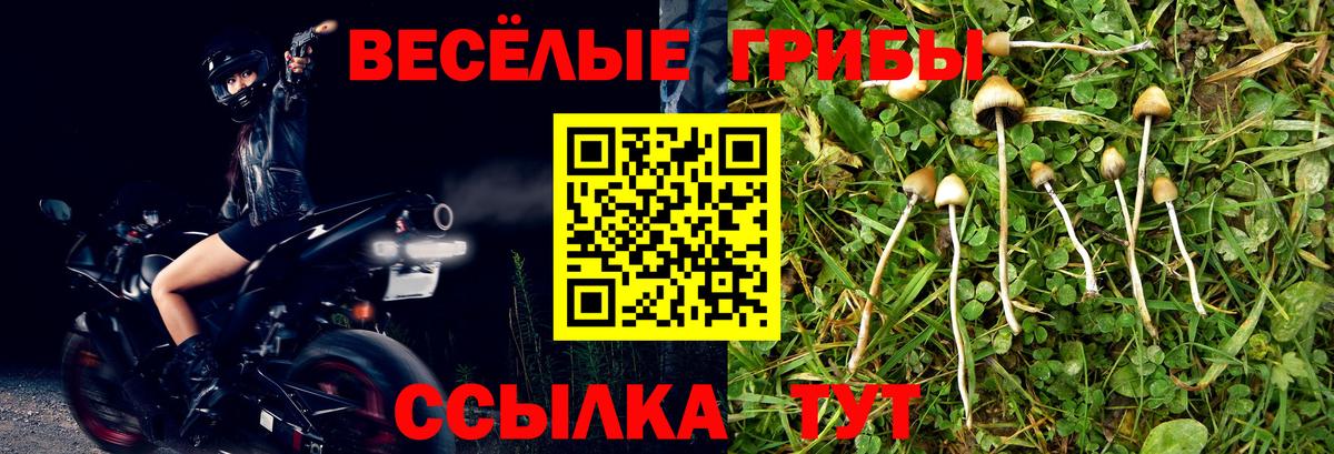 Белорецк  Псилоцибиновые грибы GOLDEN TEACHER  Псилоцибиновые грибы MAGIC MUSHROOMS  Вход с VPN 